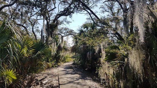 Yamato Scrub Natural Area